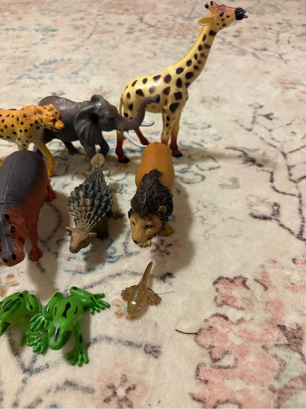 Target set assorted